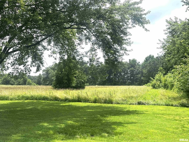 516 Walnut Hill Rd, Centralia, IL 62801 - photo 12