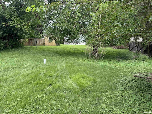 503 S Pennsylvania Ave, Carterville, IL 62918 - photo 4