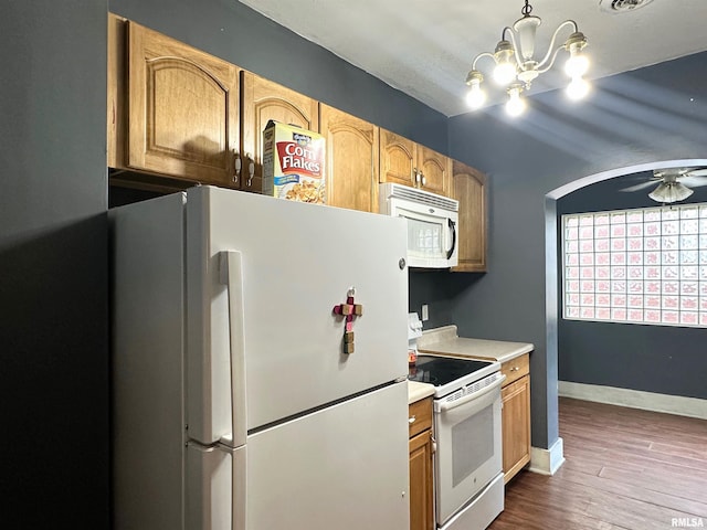 2009 Spruce St, Murphysboro, IL 62966 - photo 16