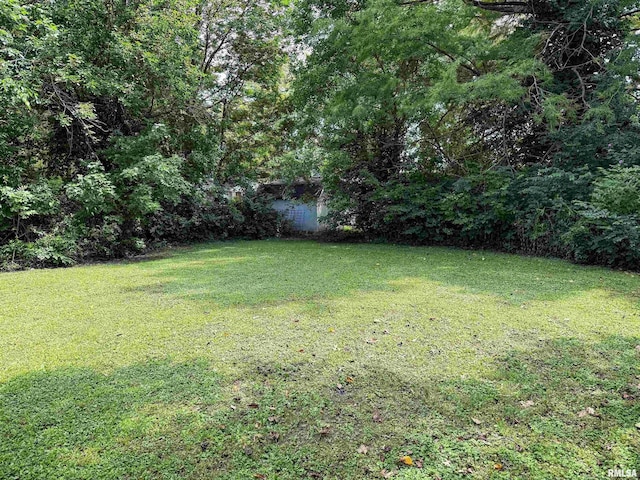 833 W 4th St, Flora, IL 62839 - photo 6