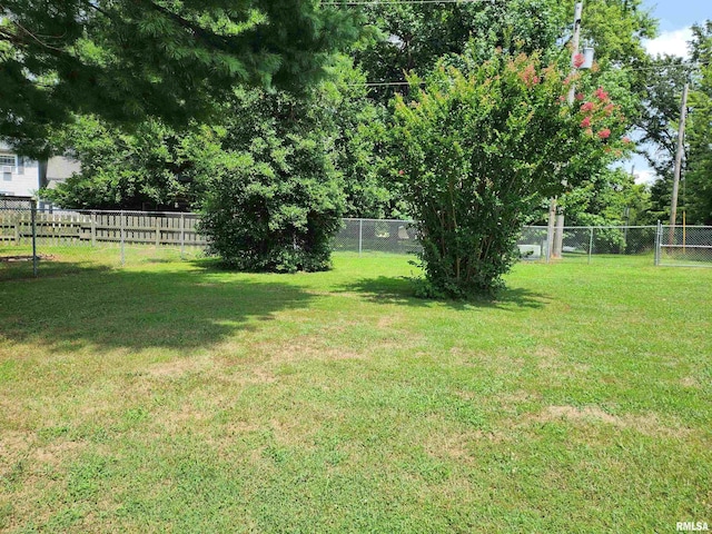 1208 Plum Ave, Mount Vernon, IL 62864 - photo 21