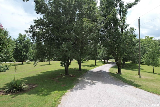 4155 Reevesville Rd, Grantsburg, IL 62943 - photo 79