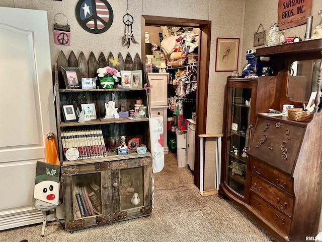1409 W 5th St, West Frankfort, IL 62896 - photo 23