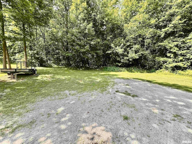 1409 W 5th St, West Frankfort, IL 62896 - photo 30