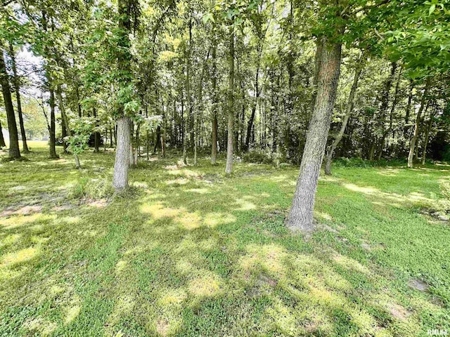 1409 W 5th St, West Frankfort, IL 62896 - photo 51
