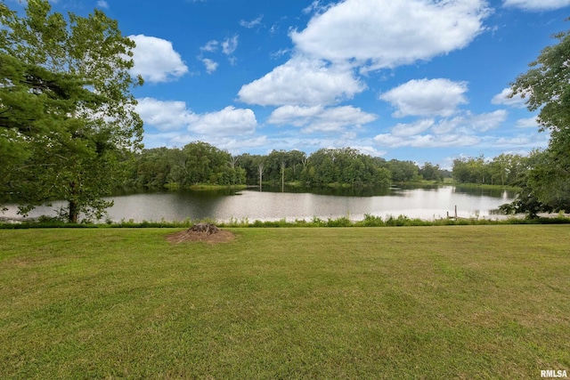 73 Minetree Ln, Carbondale, IL 62901 - photo 53