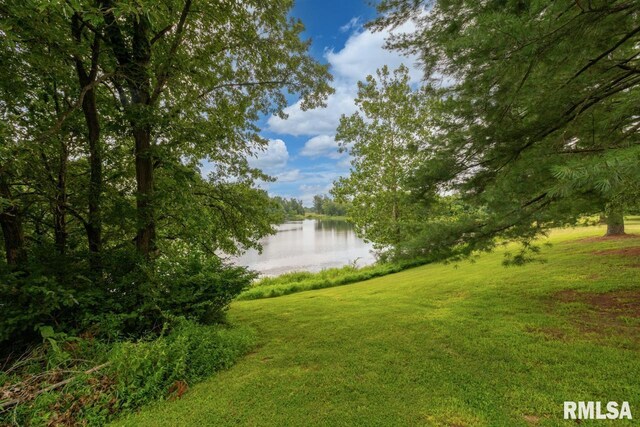 73 Minetree Ln, Carbondale, IL 62901 - photo 64