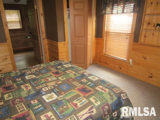 485 Peters Creek Rd, Cave In Rock, IL 62919 - photo 21