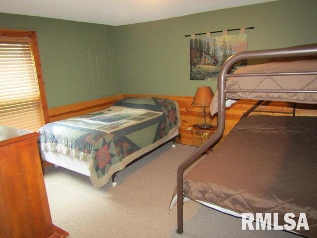 485 Peters Creek Rd, Cave In Rock, IL 62919 - photo 23