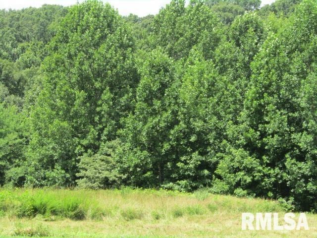 485 Peters Creek Rd, Cave In Rock, IL 62919 - photo 33