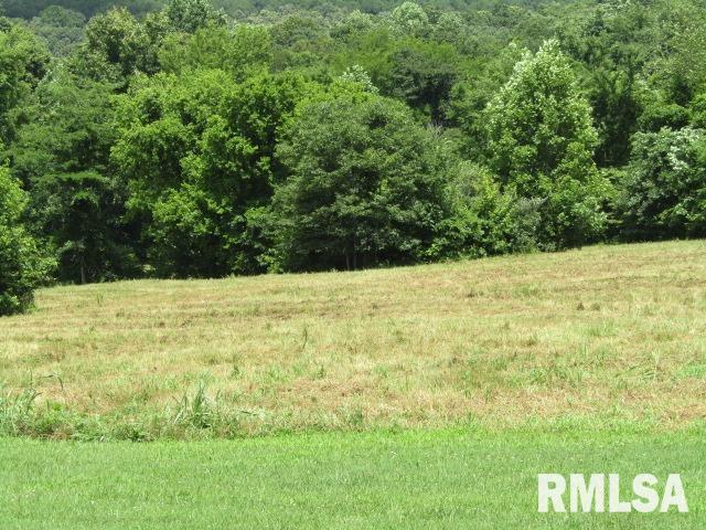 485 Peters Creek Rd, Cave In Rock, IL 62919 - photo 35