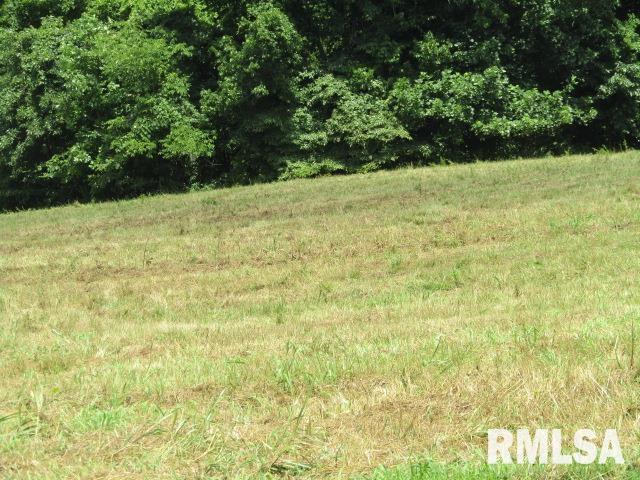 485 Peters Creek Rd, Cave In Rock, IL 62919 - photo 36