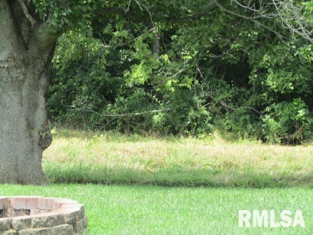 485 Peters Creek Rd, Cave In Rock, IL 62919 - photo 41