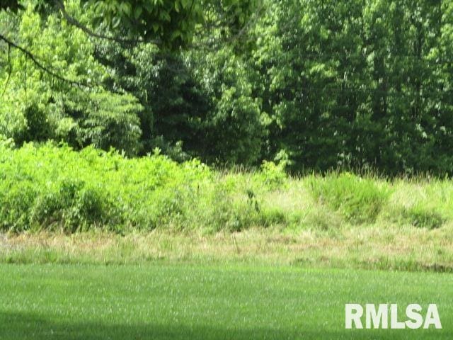 485 Peters Creek Rd, Cave In Rock, IL 62919 - photo 42