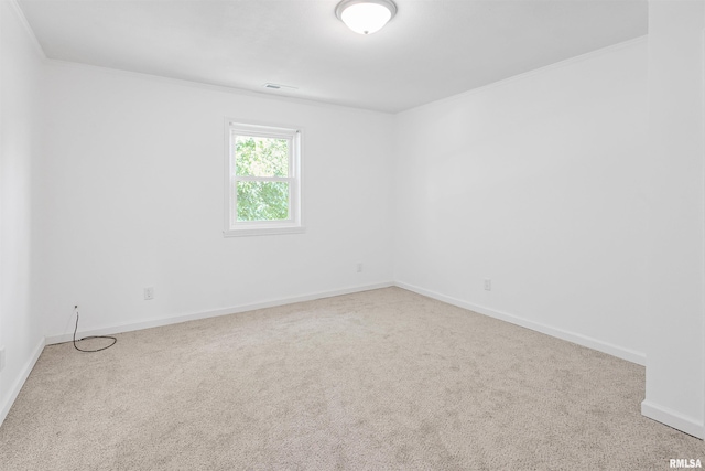 1560 Lick Creek Rd, Anna, IL 62906 - photo 11