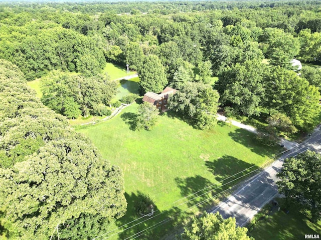 3638 Hotze Rd, Salem, IL 62881 - photo 44