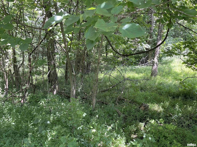 LOT246 Mark Dr, Goreville, IL 62939 - photo 1