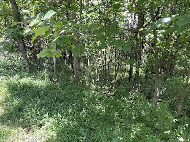 LOT246 Mark Dr, Goreville, IL 62939 - photo 2