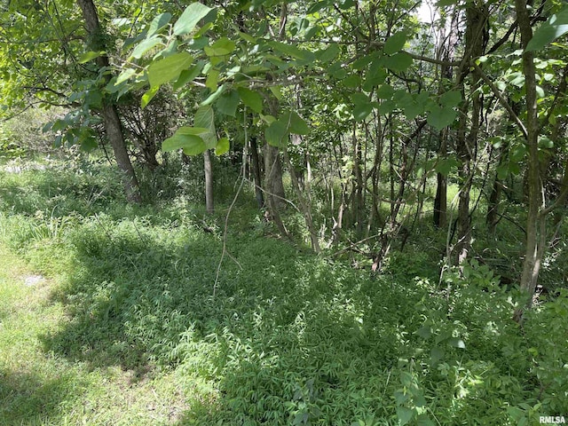 LOT246 Mark Dr, Goreville, IL 62939 - photo 3