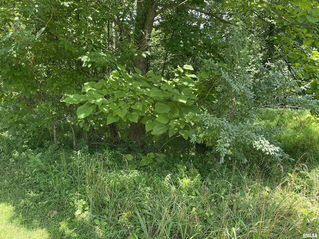 LOT246 Mark Dr, Goreville, IL 62939 - photo 5