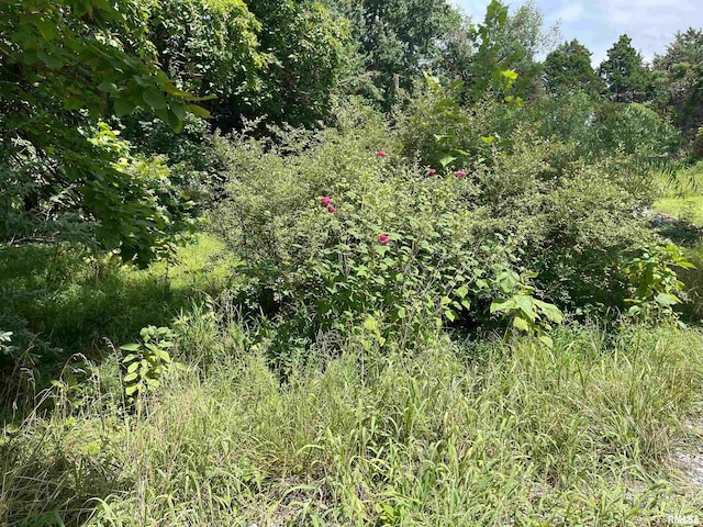 LOT246 Mark Dr, Goreville, IL 62939 - photo 6