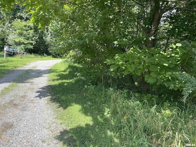 LOT246 Mark Dr, Goreville, IL 62939 - photo 7