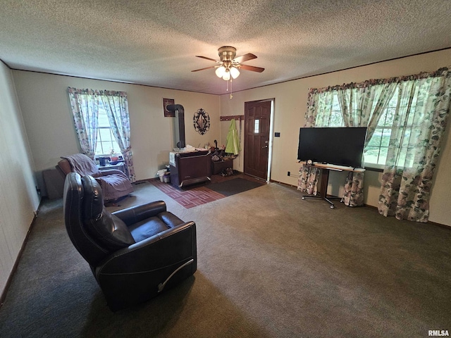 4864 Boaz Rd, Grand Chain, IL 62941 - photo 9