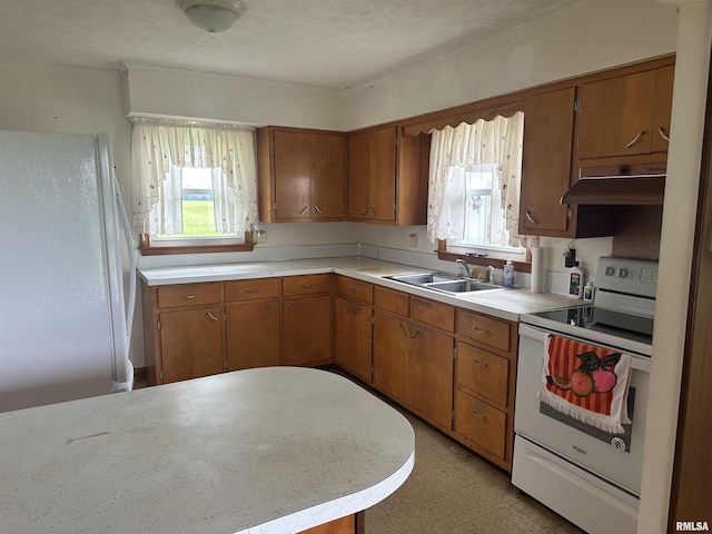 1927 Pine Cone Rd, Pinckneyville, IL 62274 - photo 8