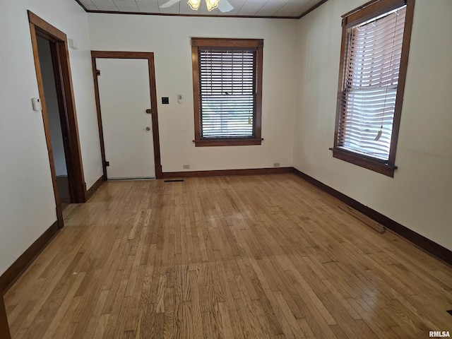 502 W Chestnut St, Carbondale, IL 62901 - photo 5