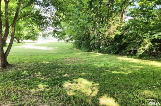 9570 State Route 154th Hwy, Sparta, IL 62286 - photo 15