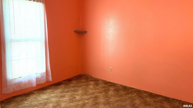 306 W Plum St, Percy, IL 62272 - photo 12