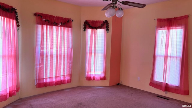 306 W Plum St, Percy, IL 62272 - photo 3