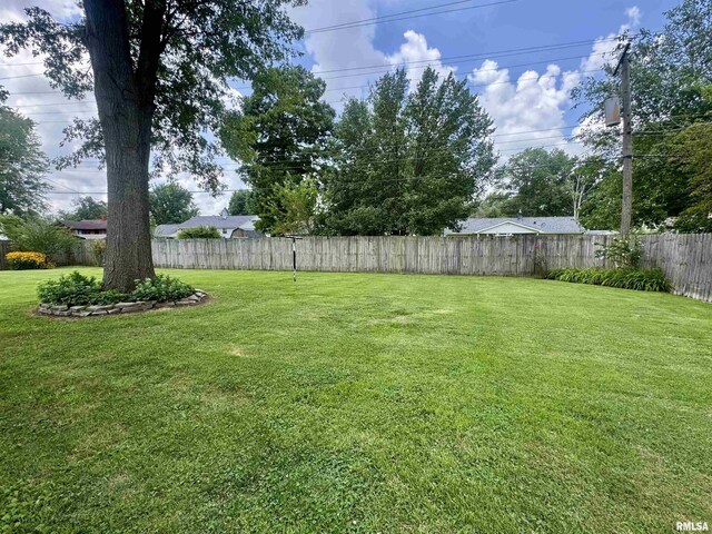 11 W Oak Park St, Centralia, IL 62801 - photo 5