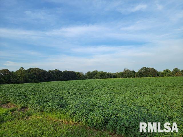 000 Main St, Desoto, IL 62924 - photo 1