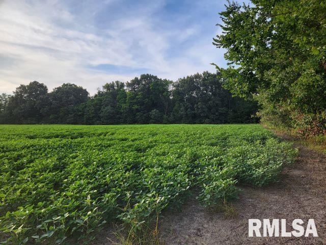 000 Main St, Desoto, IL 62924 - photo 2