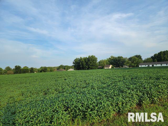 000 Main St, Desoto, IL 62924 - photo 11