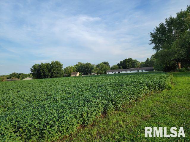 000 Main St, Desoto, IL 62924 - photo 12