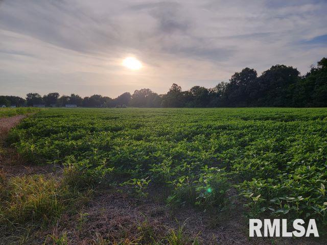 000 Main St, Desoto, IL 62924 - photo 3