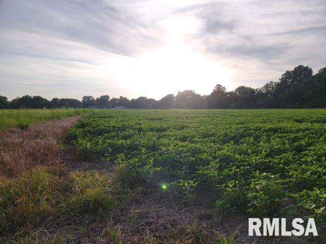000 Main St, Desoto, IL 62924 - photo 4