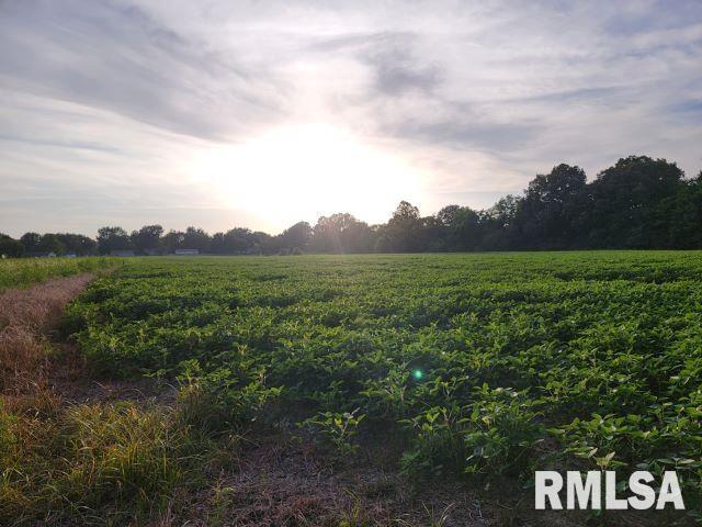 000 Main St, Desoto, IL 62924 - photo 5
