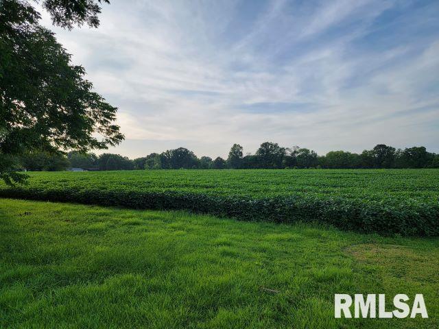 000 Main St, Desoto, IL 62924 - photo 7