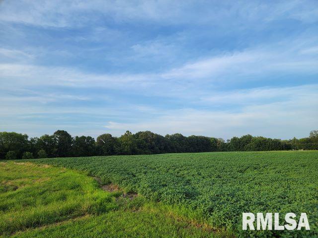 000 Main St, Desoto, IL 62924 - photo 9