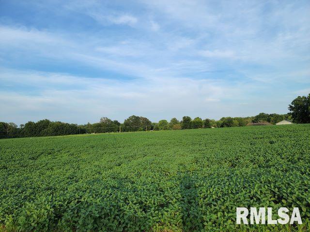 000 Main St, Desoto, IL 62924 - photo 10