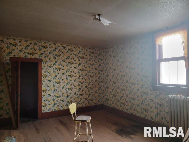 101 S 6th St, Murphysboro, IL 62966 - photo 28