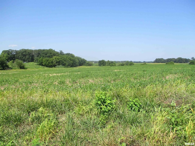 0000 Bean Rd, Whittington, IL 62897 - photo 1