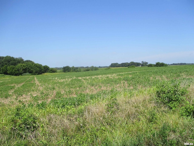 0000 Bean Rd, Whittington, IL 62897 - photo 8