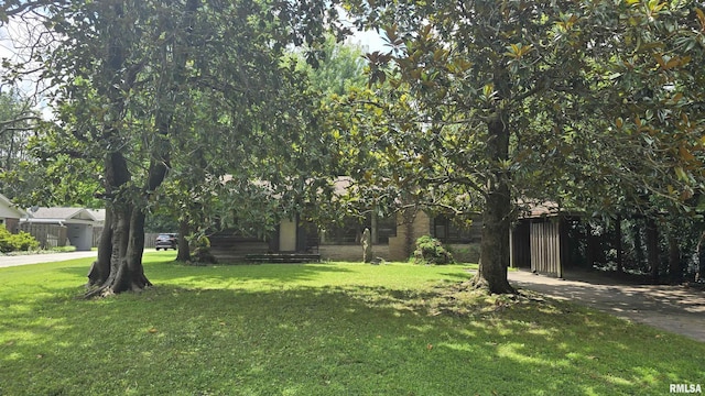 1004 Taylor Dr, Carbondale, IL 62901 - photo 2