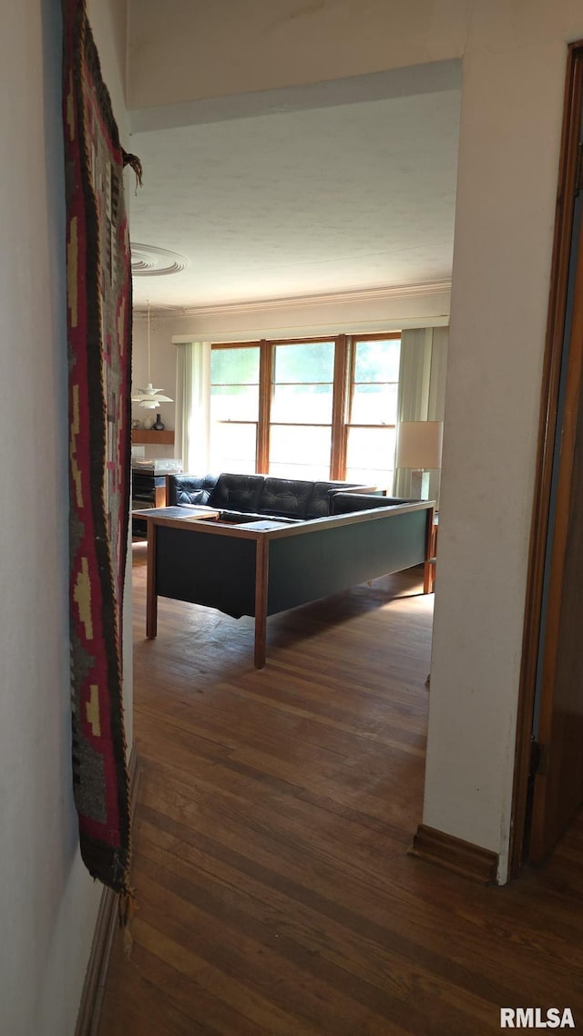 1004 Taylor Dr, Carbondale, IL 62901 - photo 28