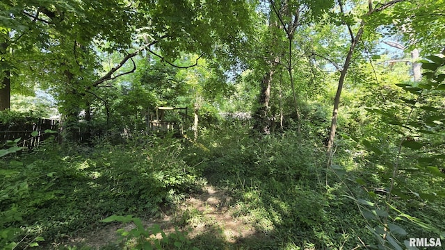 1004 Taylor Dr, Carbondale, IL 62901 - photo 54