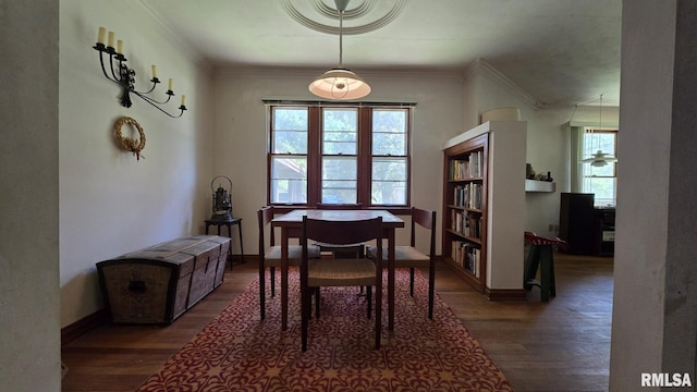 1004 Taylor Dr, Carbondale, IL 62901 - photo 79